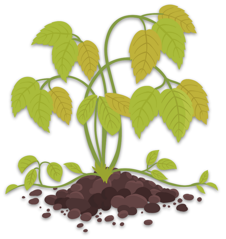 Wilting plant icon